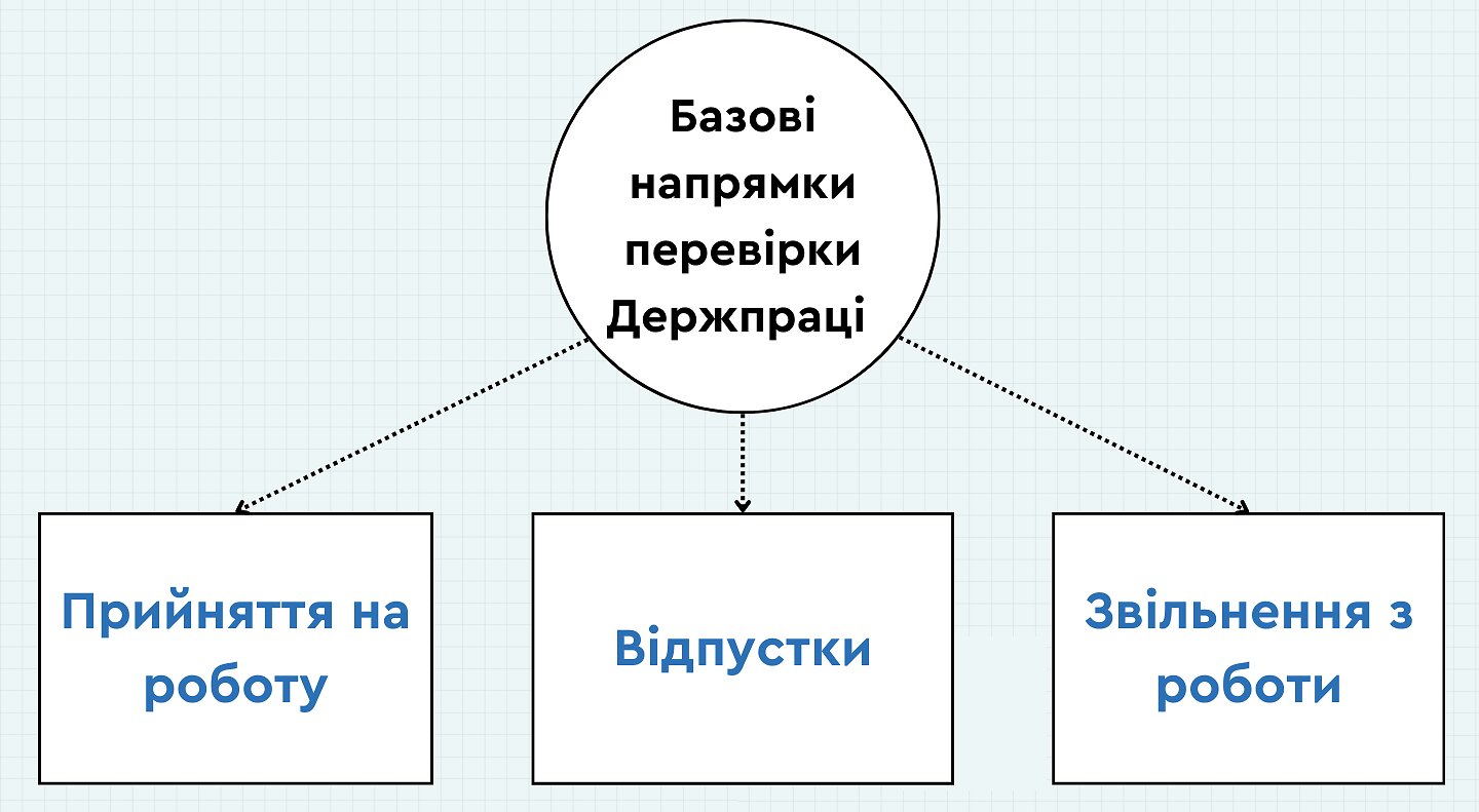 основные направления проверки Госинспекции по труду